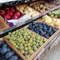  at Green and Glory in North London