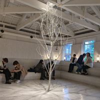  at Walden Woods in Kyoto