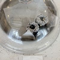   at Walden Woods in Kyoto