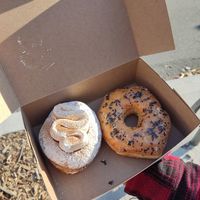 Pumpkin and London at Machino Donuts - Bloor St in Toronto