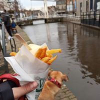  at De Vlaminck in Alkmaar