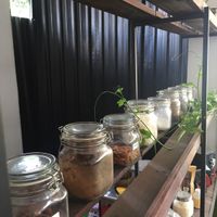 Bar at Urban Jungle in Ubud