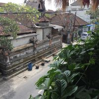 View  at Urban Jungle in Ubud
