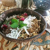 jungle at Urban Jungle in Ubud