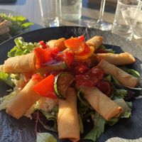 Spring roll with cous cous and veggies   at Kavarna Park - The Park Cafe in Bled