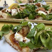 Starter at Fig in Split