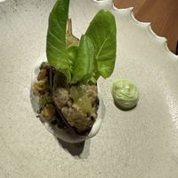   at Moss in Grindavik