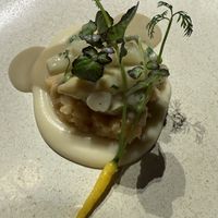   at Moss in Grindavik