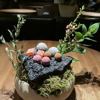   at Moss in Grindavik