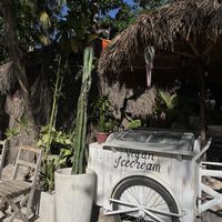   at Los Bowls de Guadalupe  in Tulum