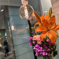 View from inside out  at Haferkater - S-Bf Friedrichstraße in Berlin