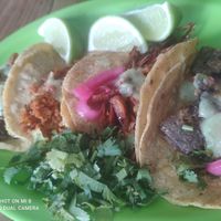 Tacos at El Bajón Vegano in Tulum