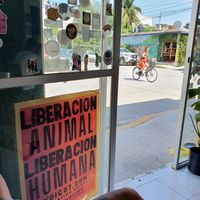  at El Bajón Vegano in Tulum
