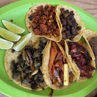   at El Bajón Vegano in Tulum