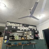   at El Bajón Vegano in Tulum