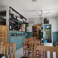 Vibes at El Bajón Vegano in Tulum