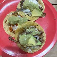   at El Bajón Vegano in Tulum