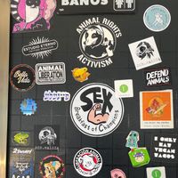  at El Bajón Vegano in Tulum