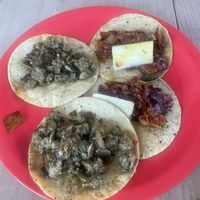 Vegan tacos pre toppings  at El Bajón Vegano in Tulum