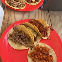   at El Bajón Vegano in Tulum