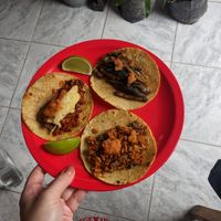  at El Bajón Vegano in Tulum