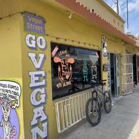   at El Bajón Vegano in Tulum