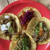   at El Bajón Vegano in Tulum