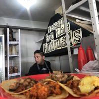   at El Bajón Vegano in Tulum