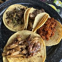   at El Bajón Vegano in Tulum