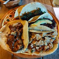  at El Bajón Vegano in Tulum