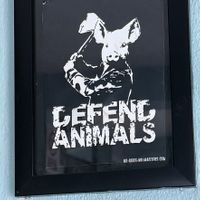   at El Bajón Vegano in Tulum