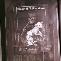   at El Bajón Vegano in Tulum