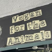   at El Bajón Vegano in Tulum