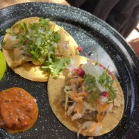 The bestest everrrr #Veganuary at El Bajón Vegano in Tulum