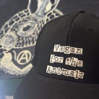   at El Bajón Vegano in Tulum