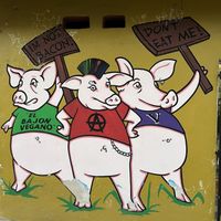   at El Bajón Vegano in Tulum