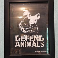  at El Bajón Vegano in Tulum