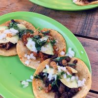 Absolutely delicious assortment of tacos! at El Bajón Vegano in Tulum
