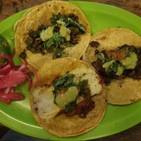 vegan tacos  at El Bajón Vegano in Tulum