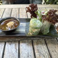 Summer rolls with tofu  at BANÔI in Freiburg
