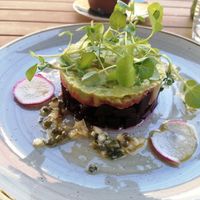 Beetroot and avocado tartare at The Gate - St John's Wood in North West London