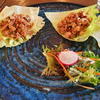 Meing Ped #Veganuary at Lotus Thai in Launceston