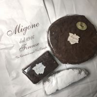Cacao and dried fruit panforte at Migone Confetti in Florence
