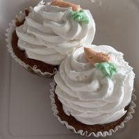 Carrot Cupcake  at Daily Veg in Wilmington