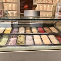 Veganista at Veganista Ice Cream VIII in Vienna