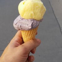  at Veganista Ice Cream VIII in Vienna