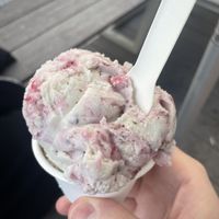   at Veganista Ice Cream VIII in Vienna