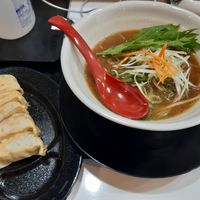Veggie miso ramen and veggie gyoza at Ramen Kazu in Kyoto