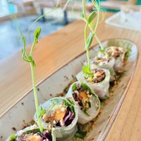 Sushi style rice paper rolls  at MIMO in Malaga