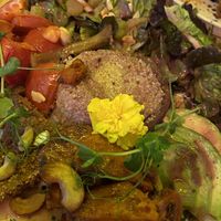 Viel Abwechslung, in der interaktiven Karte sieht man sogar, wie die Gerichte angerichtet werden.  at MIMO in Malaga